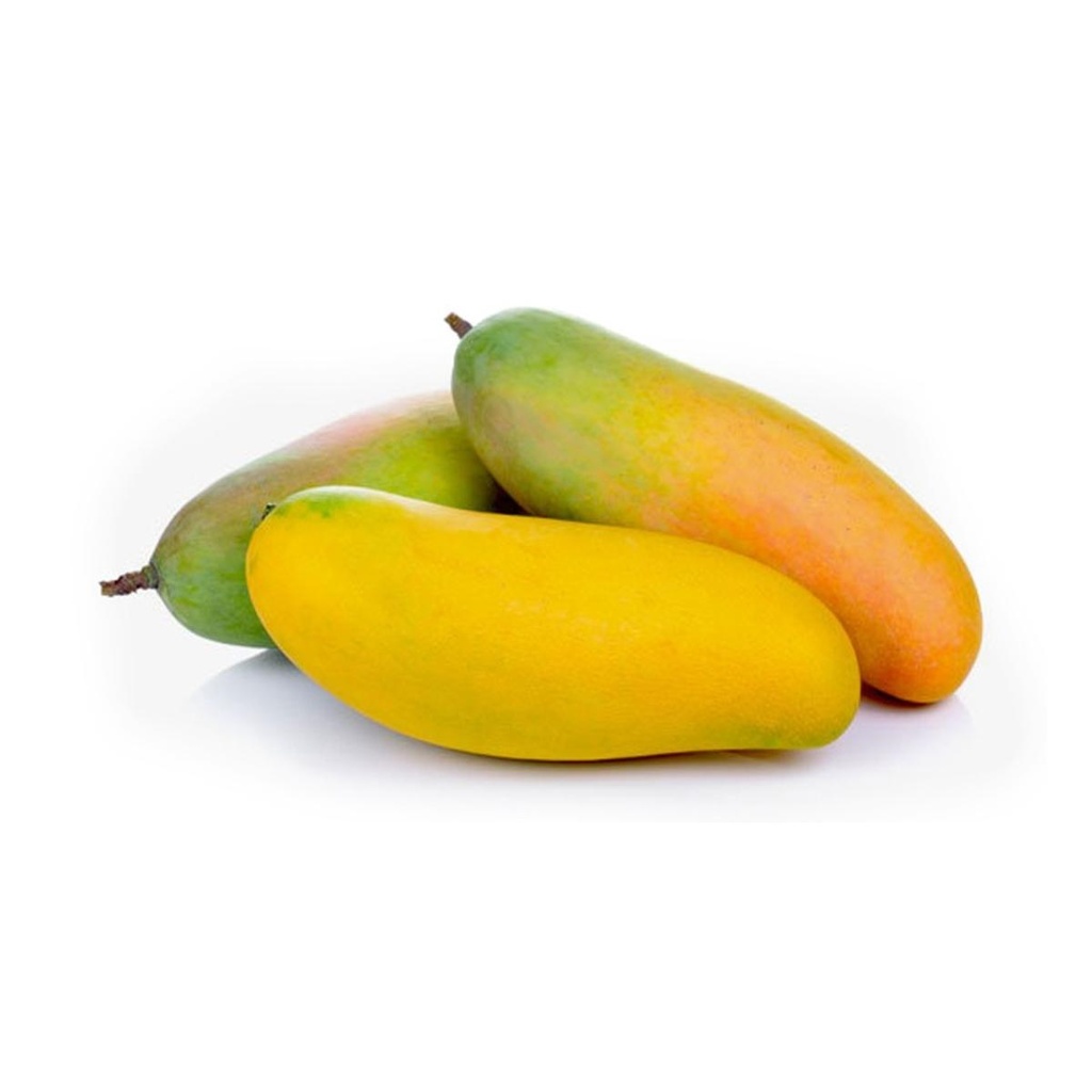 MANGO MAHA CHANOK - KG (THAI)