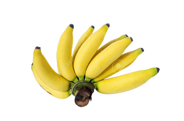 Sweet banana (Lebmuernang)