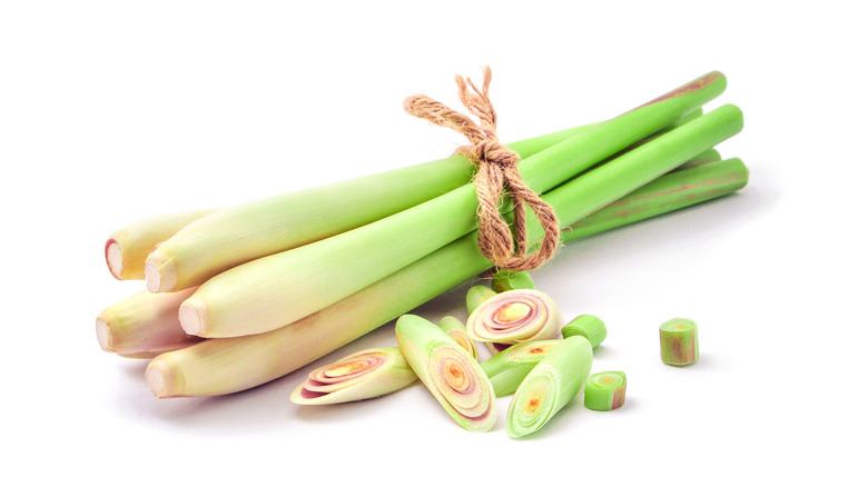 LEMON GRASS - THAILAND