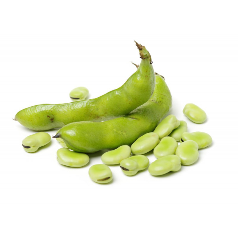 BEANS BROAD FRESH