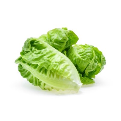 BABY ROMAIN LETTUCE