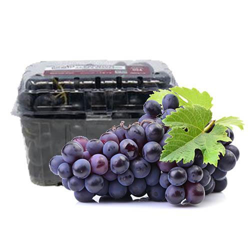 [FRU024] GRAPES BLACK