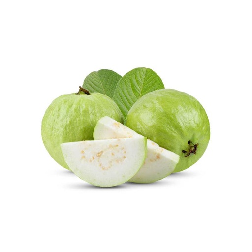 [FRU028] GUAVA