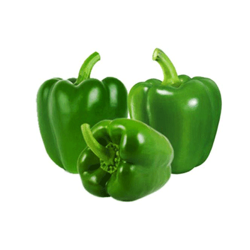 [VEG040] BELL PEPPER GREEN