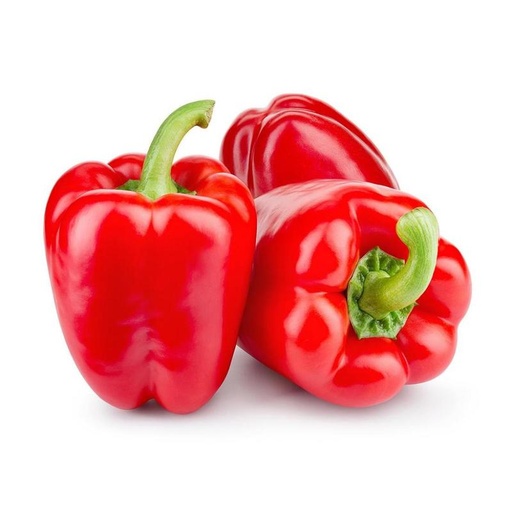 [VEG041] BELL PEPPER RED