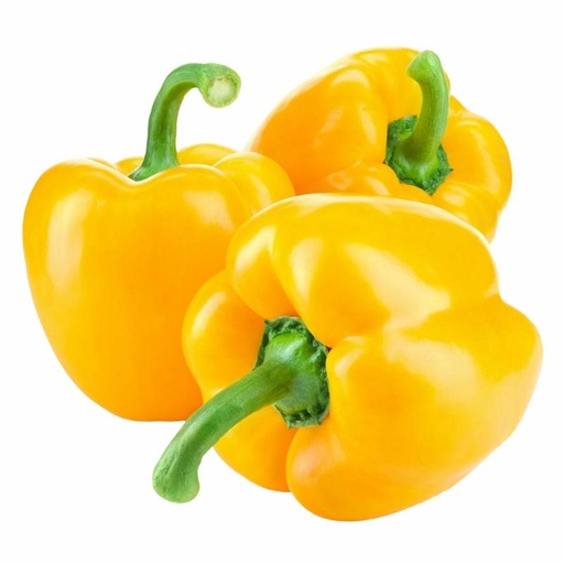 [VEG042] BELL PEPPER YELLOW