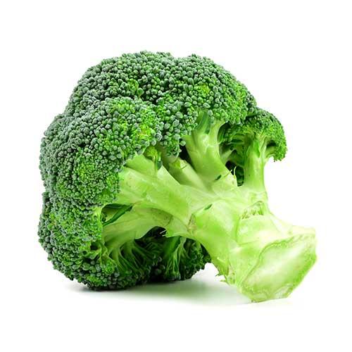 [VEG043] BROCCOLI