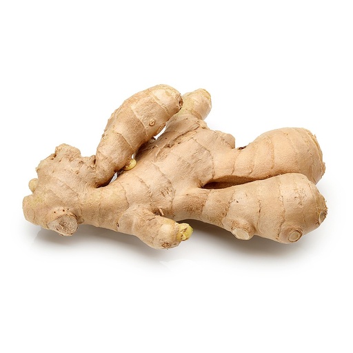 [VEG047] GINGER - FRESH