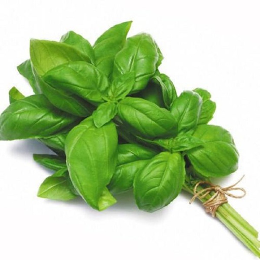 [VEG058] BASIL 