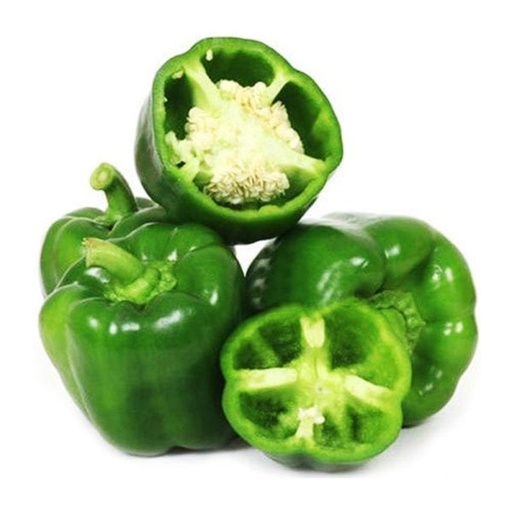 GREEN CAPSICUM INDIA- KG