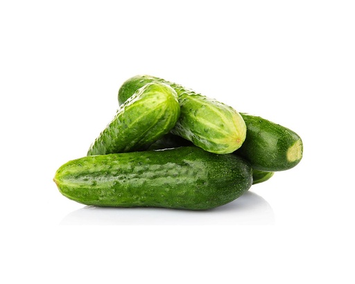 GHERKINS INDIA- KG