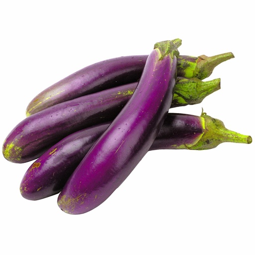 LONG BRINJAL INDIA -KG