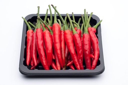 THAI CHILI RED 100G TRAY (DUBAI)