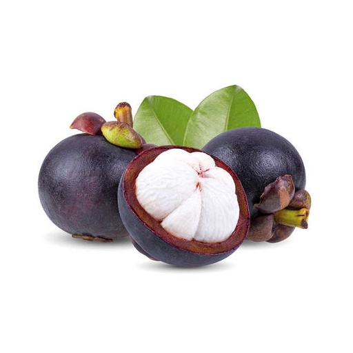 MANGOSTEEN (DUBAI)