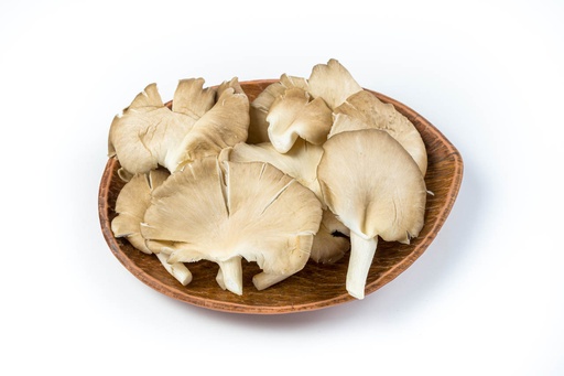 MUSHROOM ERINGI / OYSTER - KG (DUBAI)