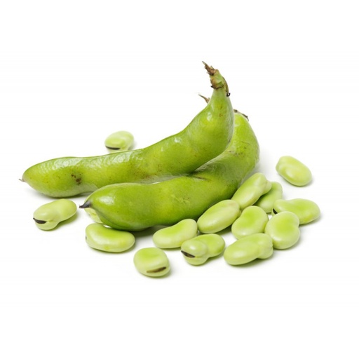 BEANS BROAD FRESH