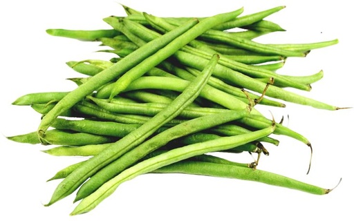 GREEN BEANS DUBAI - KG