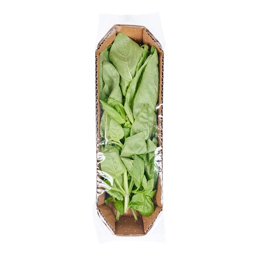 Green Basil 30g