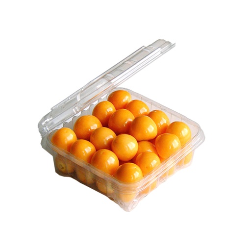 [FRU005] GOLDAN BERRY 200g HOLLAND