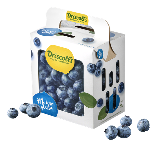 [FRU007] BLUEBERRY 500G BUCKET