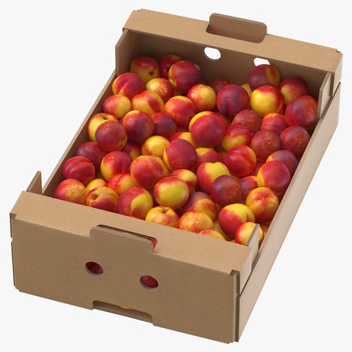 [FRU009] NECTARINES