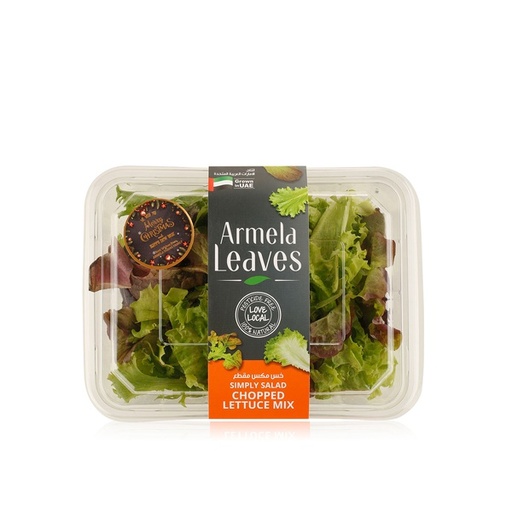 [VEG002] MIXED SALAD LEAVES 125G HOLLAND