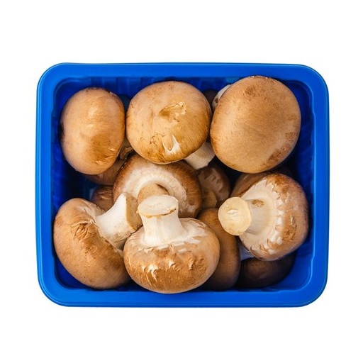 [VEG009] BULB MUSHROOM BROWN (DUBAI)
