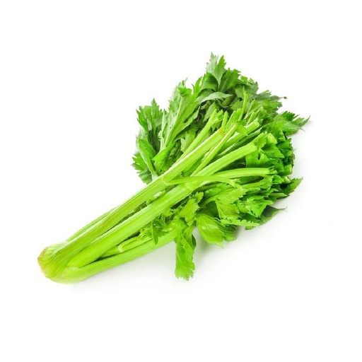 [VEG012] CELERY STICK