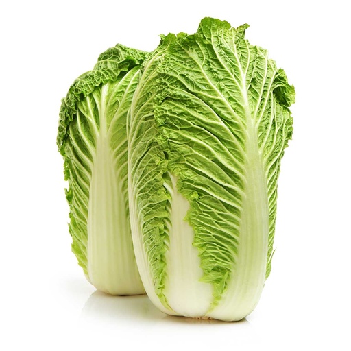 [VEG017] CHINESE CABBAGE