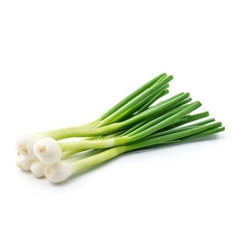 [VEG021] SPRING ONION