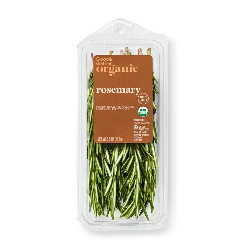 [VEG022] ROSEMARY 