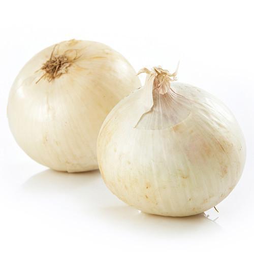 [VEG025] ONION WHITE BIG