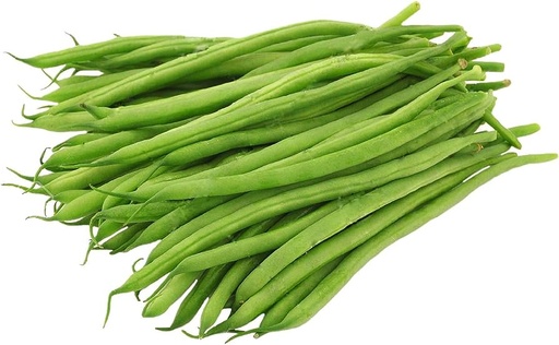 [VEG028] HARICOT VERTS BEANS