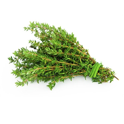 [VEG030] THYME HERBS