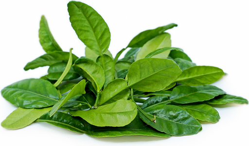 [VEG034] LIME LEAVES