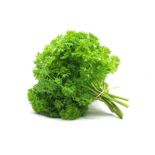 [VEG036] PARSLEY CURLY